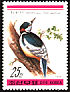 Great Spotted Woodpecker Dendrocopos major  1988 Birds 