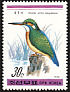 Common Kingfisher Alcedo atthis  1988 Birds 