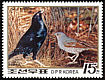 Satin Bowerbird Ptilonorhynchus violaceus  1988 Australian settlement 