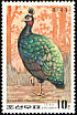 Congo Peafowl Afropavo congensis