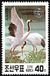 Red-crowned Crane Grus japonensis  1991 Endangered birds 