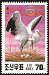 Oriental Stork Ciconia boyciana