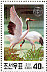 Red-crowned Crane Grus japonensis