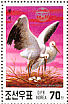 Oriental Stork Ciconia boyciana