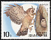 Eurasian Eagle-Owl Bubo bubo  1992 Birds of prey 
