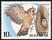 Eurasian Eagle-Owl Bubo bubo