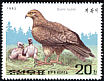 Common Buzzard Buteo buteo  1992 Birds of prey 