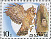 Eurasian Eagle-Owl Bubo bubo