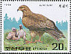 Common Buzzard Buteo buteo  1992 Birds of prey Sheet