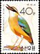 Fairy Pitta Pitta nympha  1992 Birds 