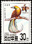 Lesser Bird-of-paradise Paradisaea minor  1993 Birds 