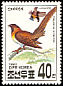 Exclamatory Paradise Whydah Vidua interjecta  1993 Birds 