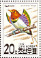 King Bird-of-paradise Cicinnurus regius