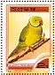 Rose-ringed Parakeet Psittacula krameri  2000 Parrots Sheet