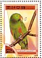 Eclectus Parrot Eclectus roratus  2000 Parrots Sheet