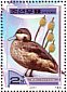 Blue-billed Teal Spatula hottentota  2000 Ducks Sheet