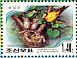 Black-naped Oriole Oriolus chinensis  2001 Hong Kong 2001  MS
