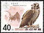 Cinereous Vulture Aegypius monachus