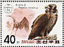 Cinereous Vulture Aegypius monachus