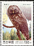 Tawny Owl Strix aluco