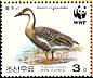 Swan Goose Anser cygnoides  2004 WWF 