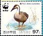 Swan Goose Anser cygnoides  2004 WWF 