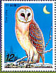 Western Barn Owl Tyto alba  2006 Owls Booklet