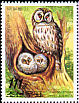 Ural Owl Strix uralensis  2006 Owls 