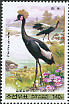 Black Crowned Crane Balearica pavonina