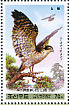 Eurasian Goshawk Accipiter gentilis