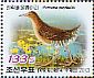 Band-bellied Crake Zapornia paykullii