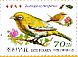 Chestnut-flanked White-eye Zosterops erythropleurus  2012 Birds Booklet