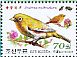 Chestnut-flanked White-eye Zosterops erythropleurus