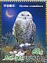 Snowy Owl Bubo scandiacus  2013 Owls Sheet with 2 sets