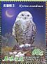 Snowy Owl Bubo scandiacus  2013 Owls Booklet