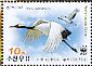 Red-crowned Crane Grus japonensis