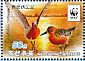 Red Knot Calidris canutus  2015 WWF Booklet