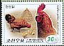 Red Junglefowl Gallus gallus  2016 Domesticated birds 