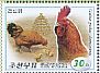 Red Junglefowl Gallus gallus  2016 Domesticated birds Booklet