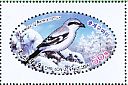 Chinese Grey Shrike Lanius sphenocercus  2016 Birds Booklet