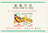 Common Pheasant Phasianus colchicus  1966 Korean birds 