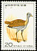 Great Bustard Otis tarda  1976 Birds 