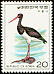 Black Stork Ciconia nigra  1976 Birds 