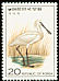 Black-faced Spoonbill Platalea minor  1976 Birds 