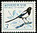 Oriental Magpie Pica serica