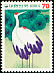 Red-crowned Crane Grus japonensis