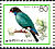 Oriental Dollarbird Eurystomus orientalis