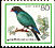 Oriental Dollarbird Eurystomus orientalis