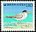 Little Tern Sternula albifrons  1994 Definitives 