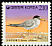 Little Tern Sternula albifrons  1995 Definitives 